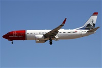 Alfonso Sols - Asociacin Canary Islands Spotting. Haz click para ampliar