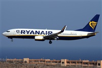 Alfonso Sols - Asociacin Canary Islands Spotting. Haz click para ampliar