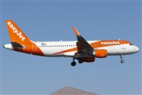 ©Florencio Martín Melián - Lanzarote Spotters. Click to see full size photo ©Florencio Martín Melián - Lanzarote Spotters. Click to see full size photo