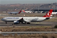 ©Alfonso Solís - Asociación Canary Islands Spotting. Click to see full size photo ©Alfonso Solís - Asociación Canary Islands Spotting. Click to see full size photo