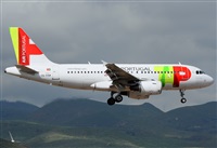 ©Alejandro H.L - Gran Canaria Spotters. Click to see full size photo ©Alejandro H.L - Gran Canaria Spotters. Click to see full size photo