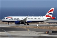 ©Alfonso Solís - Asociación Canary Islands Spotting. Click to see full size photo ©Alfonso Solís - Asociación Canary Islands Spotting. Click to see full size photo
