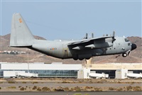 ©J. Victor Vega-Gran Canaria Spotters. Click to see full size photo ©J. Victor Vega-Gran Canaria Spotters. Click to see full size photo
