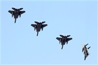 Adrin Alonso Lemes - Lanzarote Spotters. Haz click para ampliar