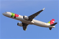 Miguel A. gueda Rguez.  (CANARY ISLANDS SPOTTING). Click to see full size photo