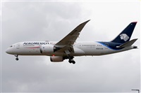 Miguel A. gueda Rguez.  (CANARY ISLANDS SPOTTING). Click to see full size photo