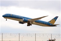 Miguel A. gueda Rguez.  (CANARY ISLANDS SPOTTING). Haz click para ampliar