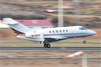 Miguel A. gueda Rguez.  (CANARY ISLANDS SPOTTING). Click to see full size photo