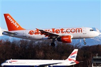 La Roche Spotters. Click to see full size photo