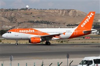 ©Alfonso Solís - Asociación Canary Islands Spotting. Click to see full size photo ©Alfonso Solís - Asociación Canary Islands Spotting. Click to see full size photo