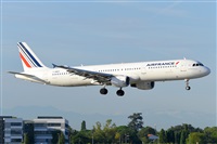 Miguel A. gueda Rguez.  (CANARY ISLANDS SPOTTING). Click to see full size photo