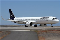 ©Alfonso Solís - Asociación Canary Islands Spotting. Click to see full size photo ©Alfonso Solís - Asociación Canary Islands Spotting. Click to see full size photo