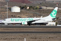 Alfonso Sols - Asociacin Canary Islands Spotting. Click to see full size photo