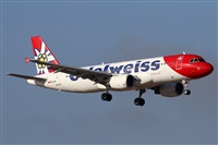 Alfonso Sols - Asociacin Canary Islands Spotting. Click to see full size photo