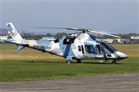 La Roche Spotters. Haz click para ampliar