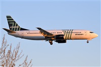 Miguel A. gueda Rguez.  (CANARY ISLANDS SPOTTING). Click to see full size photo