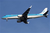 Alfonso Sols - Asociacin Canary Islands Spotting. Click to see full size photo