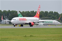 Miguel A. gueda Rguez.  (CANARY ISLANDS SPOTTING). Haz click para ampliar