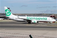 Alfonso Sols - Asociacin Canary Islands Spotting. Click to see full size photo