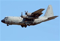 ©Alejandro H.L - Gran Canaria Spotters. Click to see full size photo ©Alejandro H.L - Gran Canaria Spotters. Click to see full size photo