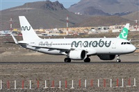 ©Alfonso Solís - Asociación Canary Islands Spotting. Click to see full size photo ©Alfonso Solís - Asociación Canary Islands Spotting. Click to see full size photo