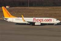 Daniel Schwinn. Click to see full size photo