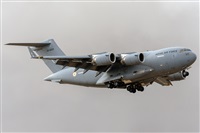 ©Adolfo Bento - Gran Canaria Spotters. Click to see full size photo ©Adolfo Bento - Gran Canaria Spotters. Click to see full size photo