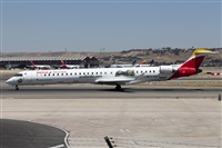 ©Román A. Pérez. Click to see full size photo ©Román A. Pérez. Click to see full size photo