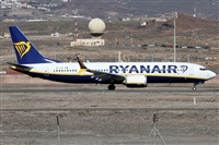 �Alfonso Sol�s - Asociaci�n Canary Islands Spotting. Click to see full size photo