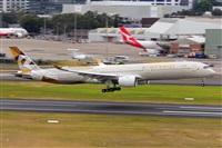 �Miguel A. �gueda Rguez.  (CANARY ISLANDS SPOTTING). Click to see full size photo
