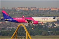 �Miguel A. �gueda Rguez.  (CANARY ISLANDS SPOTTING). Click to see full size photo