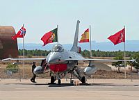 ©Antonio Zamora - La Mancha Spotters. Click to see full size photo ©Antonio Zamora - La Mancha Spotters. Click to see full size photo