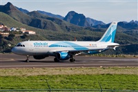 Javier de la Cruz - CANARY ISLANDS SPOTTING. Click to see full size photo