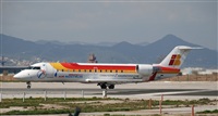 Rubn Gil - Noisy Spotters. Click to see full size photo