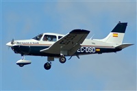 Carlos G.B. Click to see full size photo
