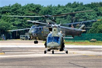Aset Anton. Click to see full size photo