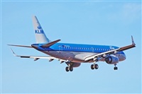 Miguel A. gueda Rguez.  (CANARY ISLANDS SPOTTING). Click to see full size photo