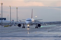 Jos Miguel Bernases - Noisy Spotters. Click to see full size photo