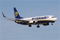 Alfonso Sols - Asociacin Canary Islands Spotting. Haz click para ampliar