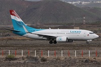 Alfonso Sols - Asociacin Canary Islands Spotting. Click to see full size photo