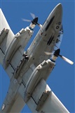 Click here to see full size photo