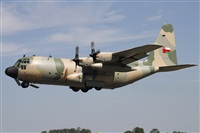Ricardo Sanabria - AIRE.org. Click to see full size photo