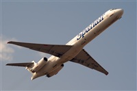 Javier de la Cruz - CANARY ISLANDS SPOTTING. Click to see full size photo