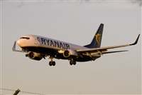 Javier de la Cruz - CANARY ISLANDS SPOTTING. Haz click para ampliar