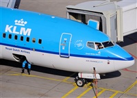 Miguel Martin Cordeiro - Iberian Spotters. Click to see full size photo