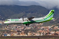 Javier de la Cruz - CANARY ISLANDS SPOTTING. Haz click para ampliar