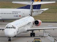 Adrin Alonso Lemes - Lanzarote Spotters. Click to see full size photo