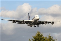 Jos Miguel Bernases - Noisy Spotters. Click to see full size photo