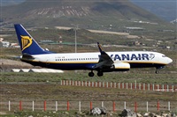 Nacho Rodriguez - Canary Islands Spotting. Click to see full size photo