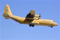 H.volar. Click to see full size photo